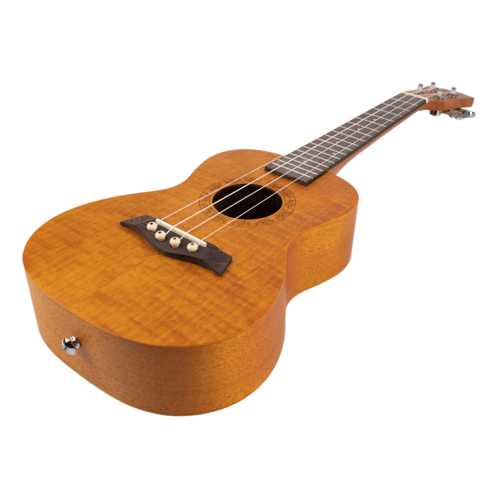 Ukulele Lessons McMusic Lessons